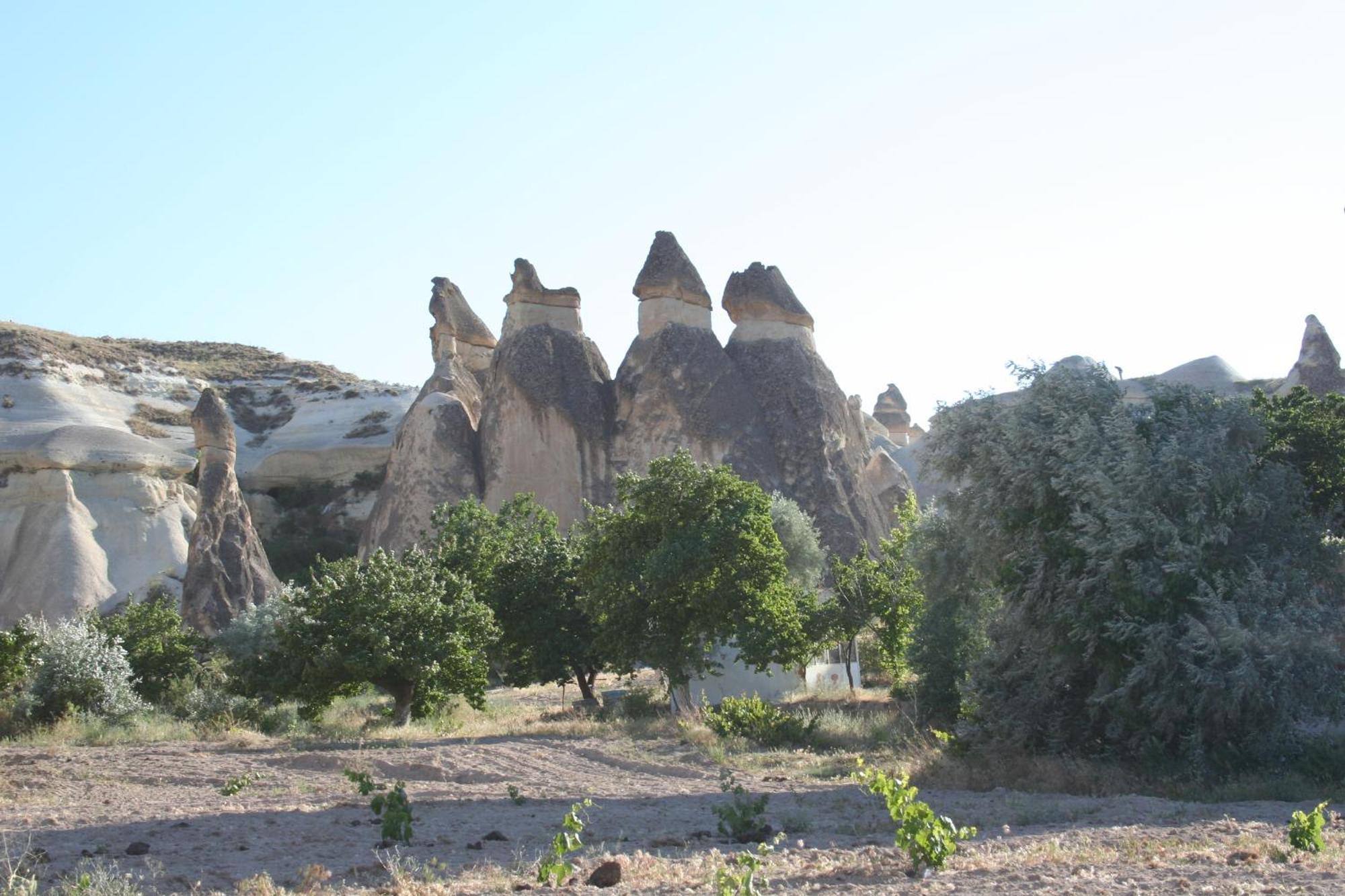 Anatolia Cave Hotel Pension Göreme Exteriör bild