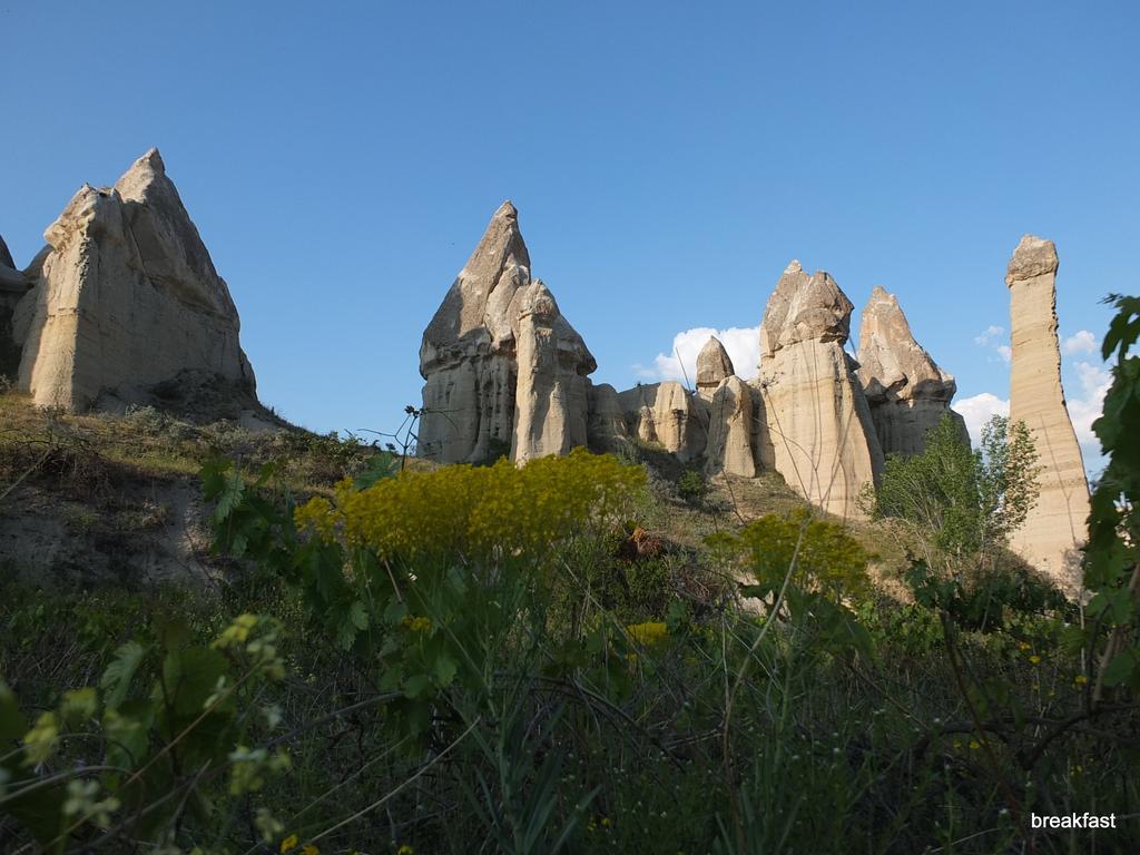Anatolia Cave Hotel Pension Göreme Exteriör bild