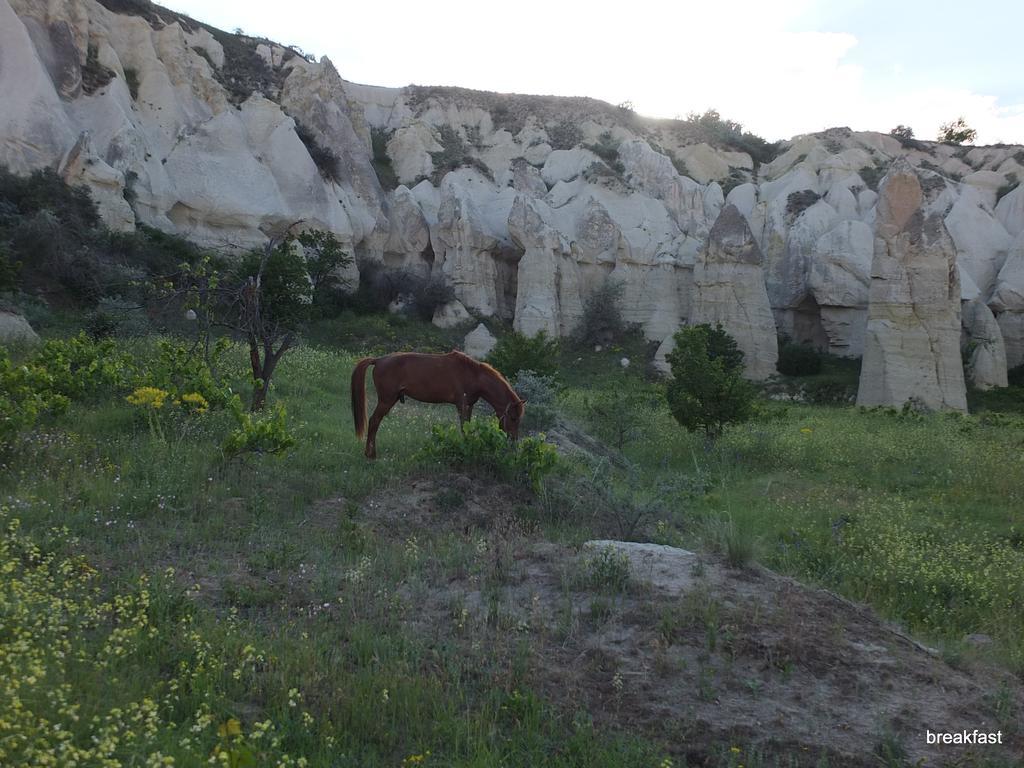 Anatolia Cave Hotel Pension Göreme Exteriör bild
